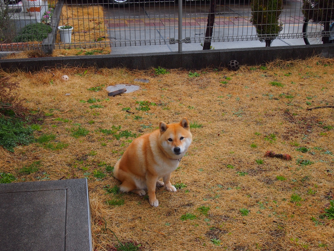 爱游戏体育官网-中超主力球员伤病恢复期数据研究，中超恢复主客场