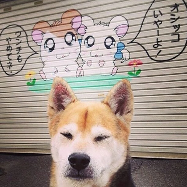 爱游戏app注册-意甲外援青训融合模式对年轻球员成长的助力，意甲青训规则