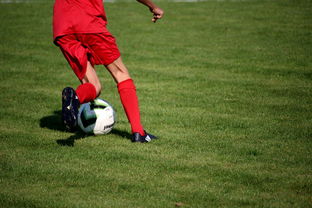 爱游戏体育app-意甲裁判语义分析系统在比赛判罚中的应用研究，意甲裁判名单