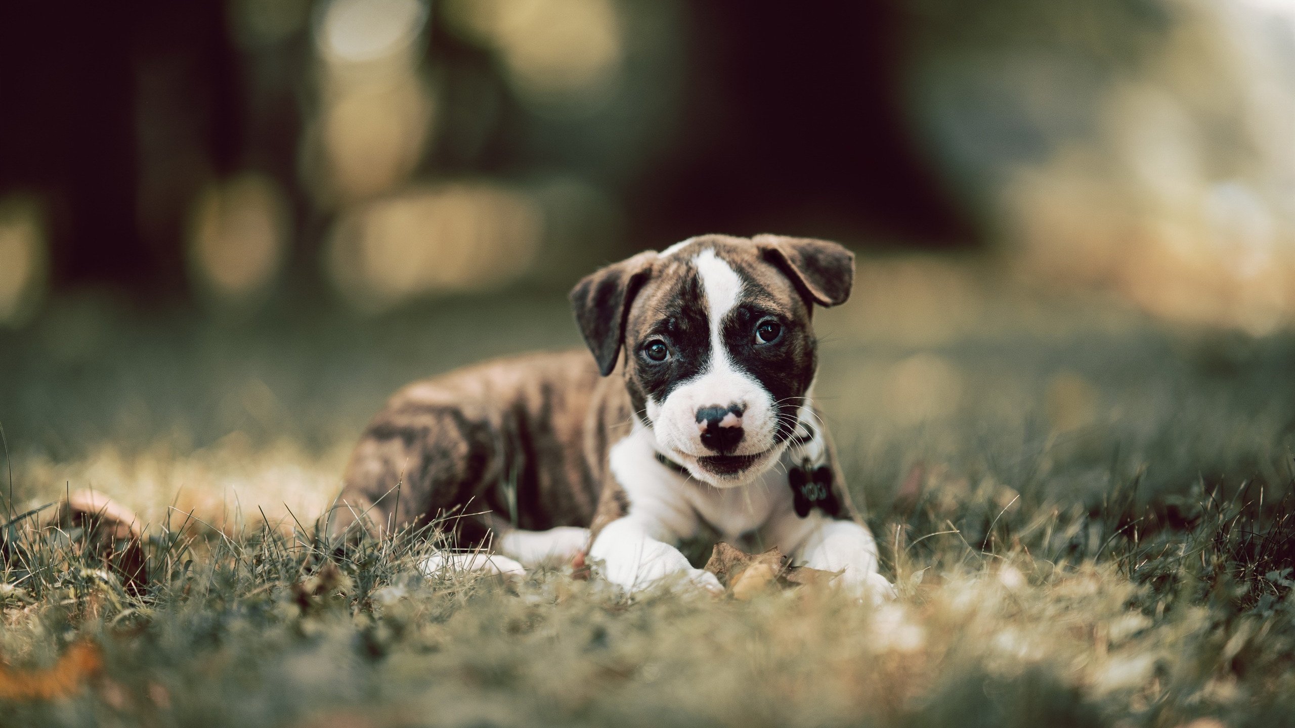 滑雪场所安全检查全面开展,滑雪场安全生产检查