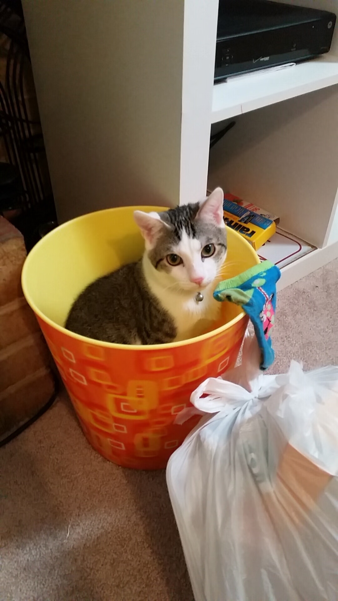 王哲林内线统治力助上海队强势逆袭，王哲林来上海