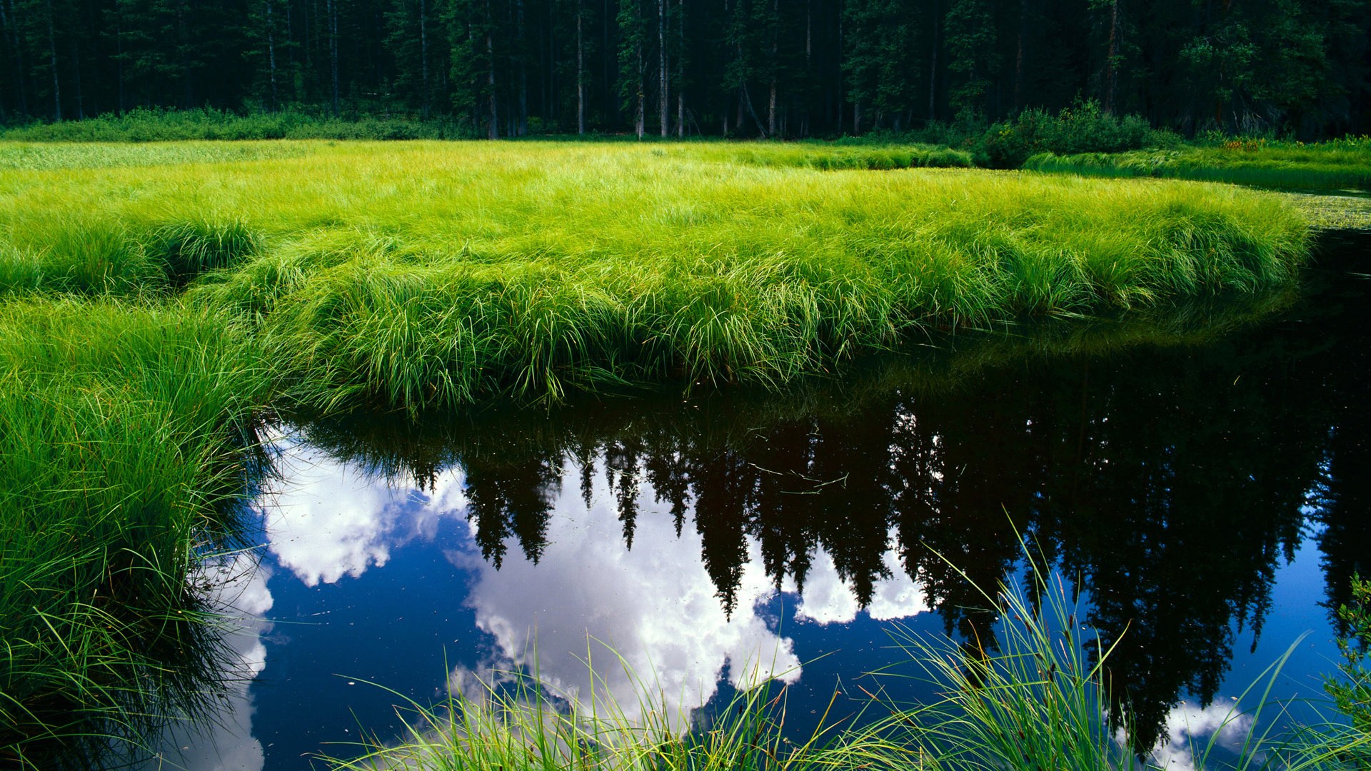 球员节奏感与投篮节奏的协调方式,投篮音乐节奏感