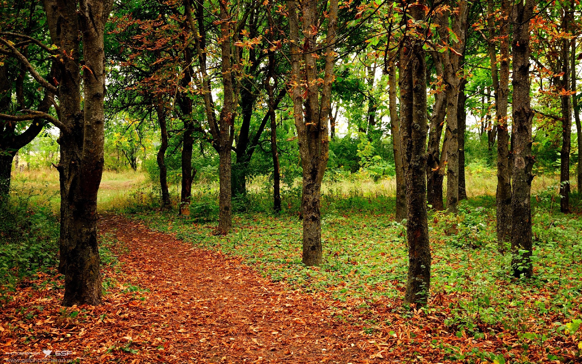 “足球+教育”模式推广，开发多样化课程