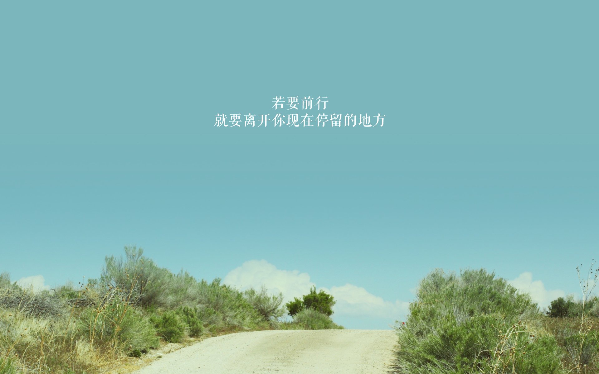 爱游戏体育娱乐-全队参与公益跑步活动践行社会责任展示运动员榜样力量，跑步公益组织