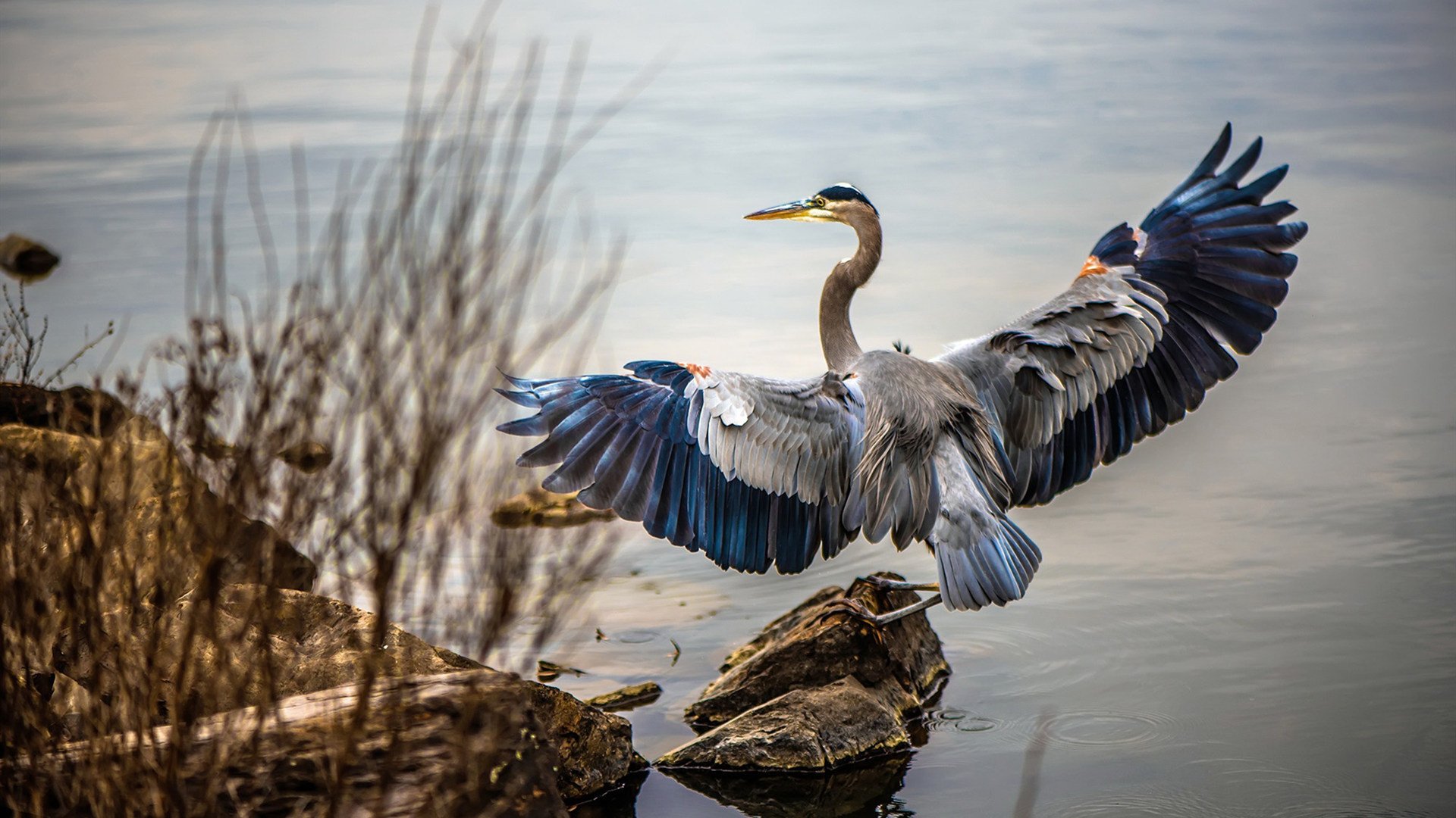爱游戏体育娱乐-塞维利亚状态火热，欧洲赛场目标明确