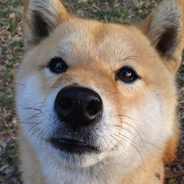 爱游戏app推荐-李娜成为知名运动品牌形象大使，李娜成为知名运动品牌形象大使的原因