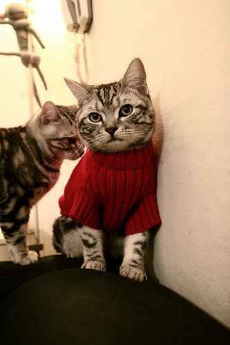 爱游戏-沃尔什夺金背后训练片段曝光，沃尔精彩集锦