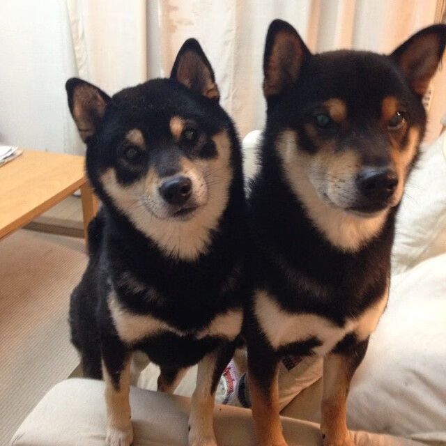 爱游戏官网-美洲杯逆转奇迹：奋勇激战，终成传奇，美洲美洲杯