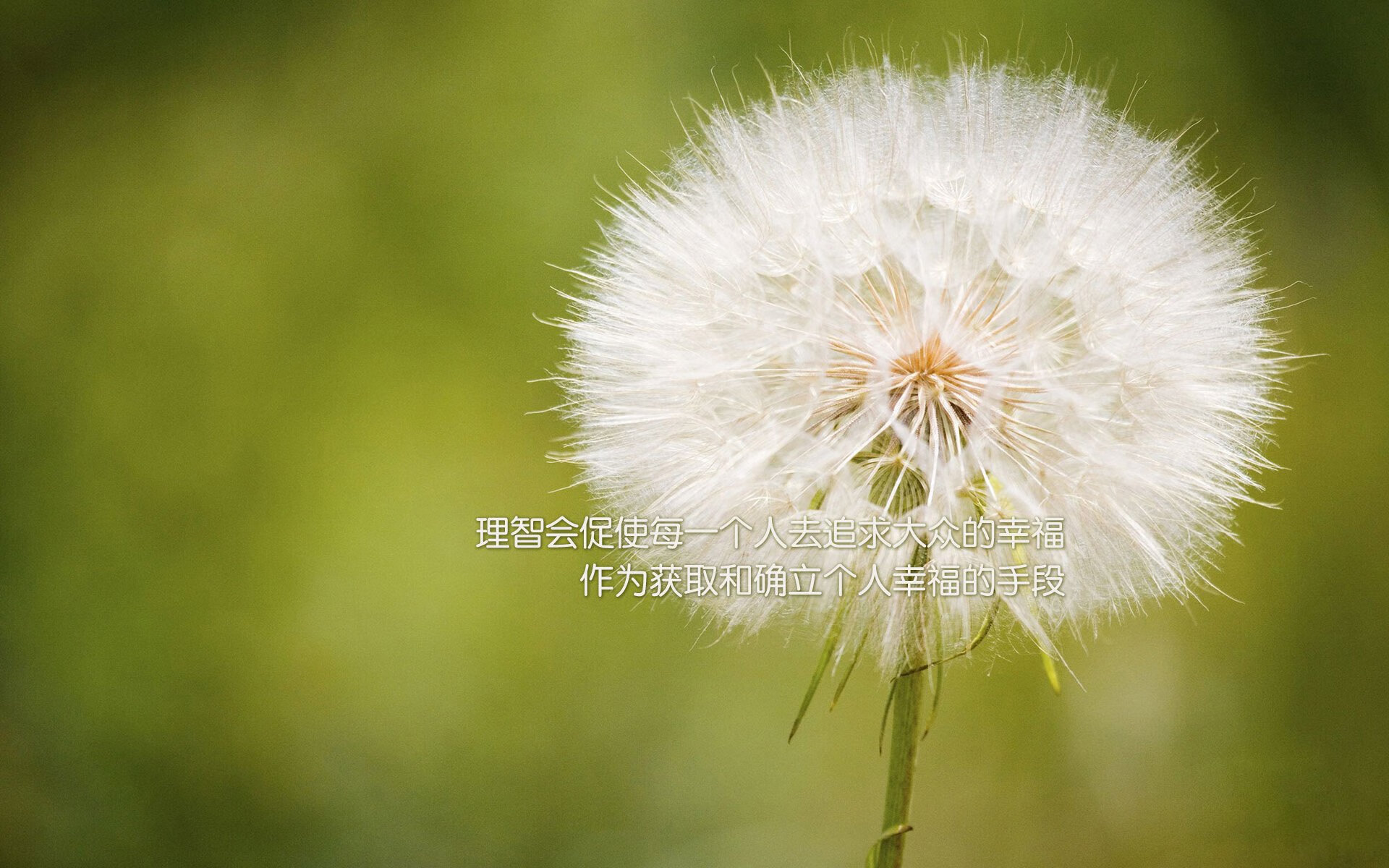 爱游戏官网充值-自由泳冲刺韩国展现强劲速度，自由泳spl