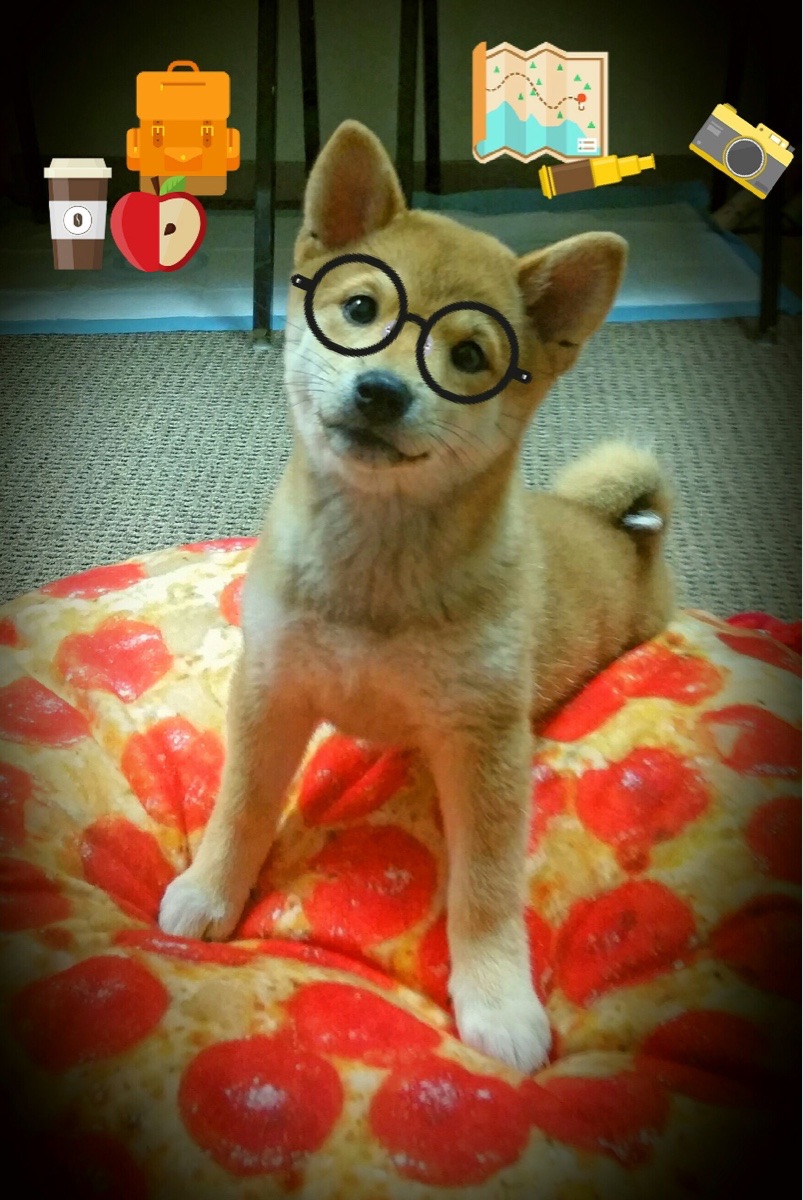 英超疯狂反击：速度与力量的最佳结合，英超各队打法