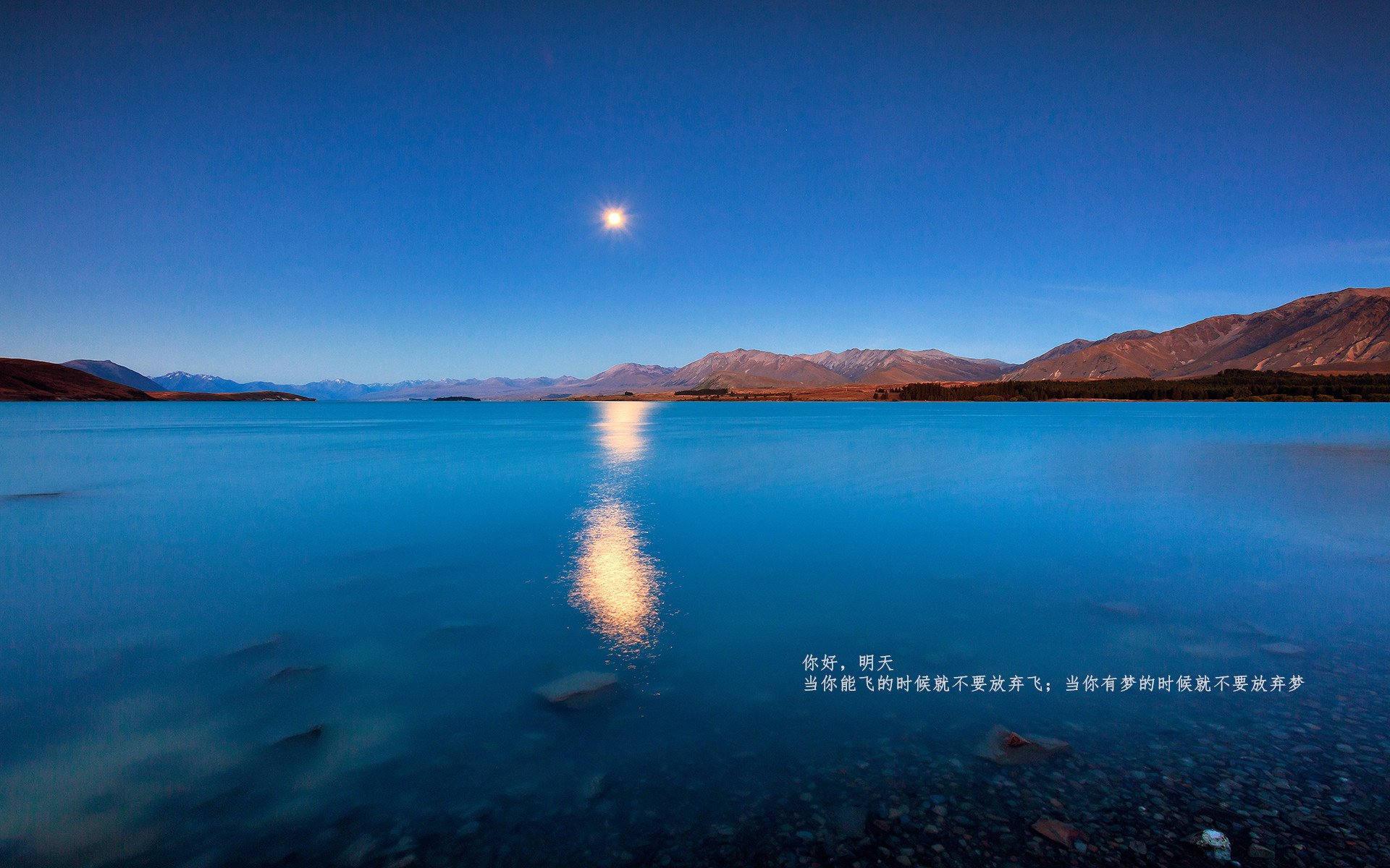 萨默·麦金托什泳池内外双重突破,麦金托什的画